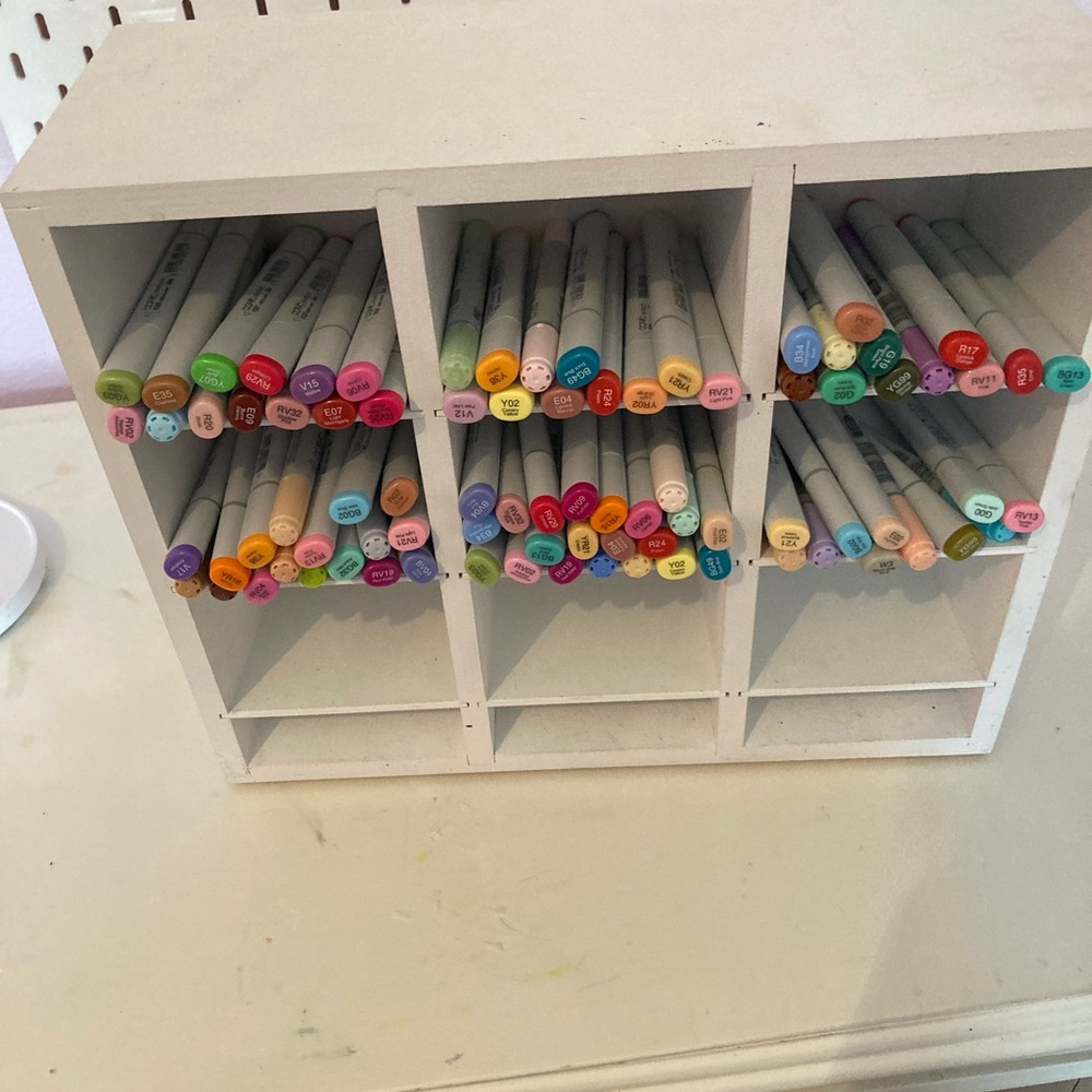Marker organizer with markers